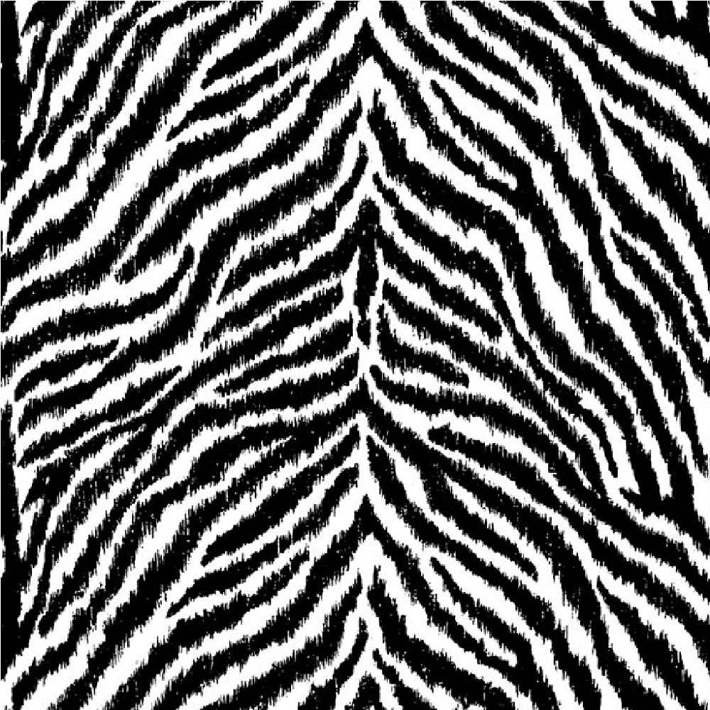 Tiger Print Black White , HD Wallpaper & Backgrounds