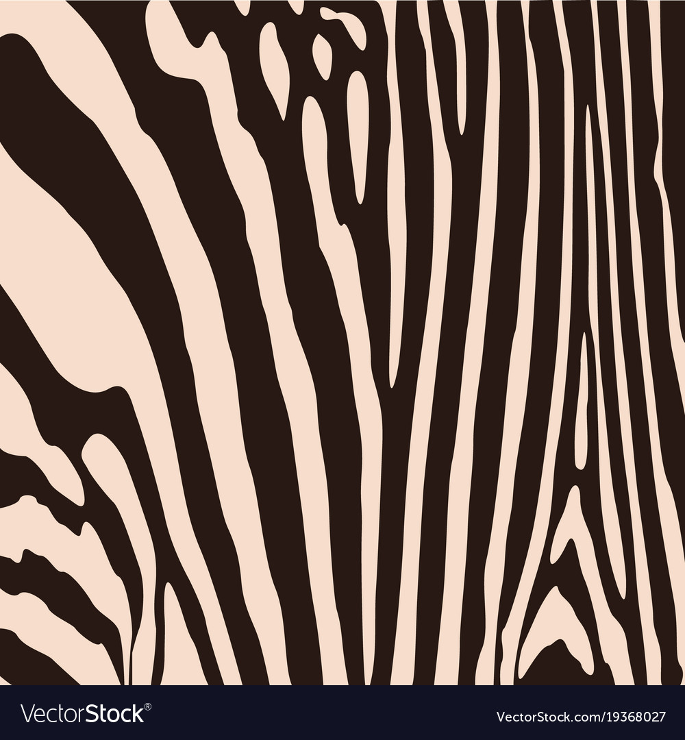 Zebra Pattern For Wallpaper Fabrics Designs - Zebra Pattern , HD Wallpaper & Backgrounds