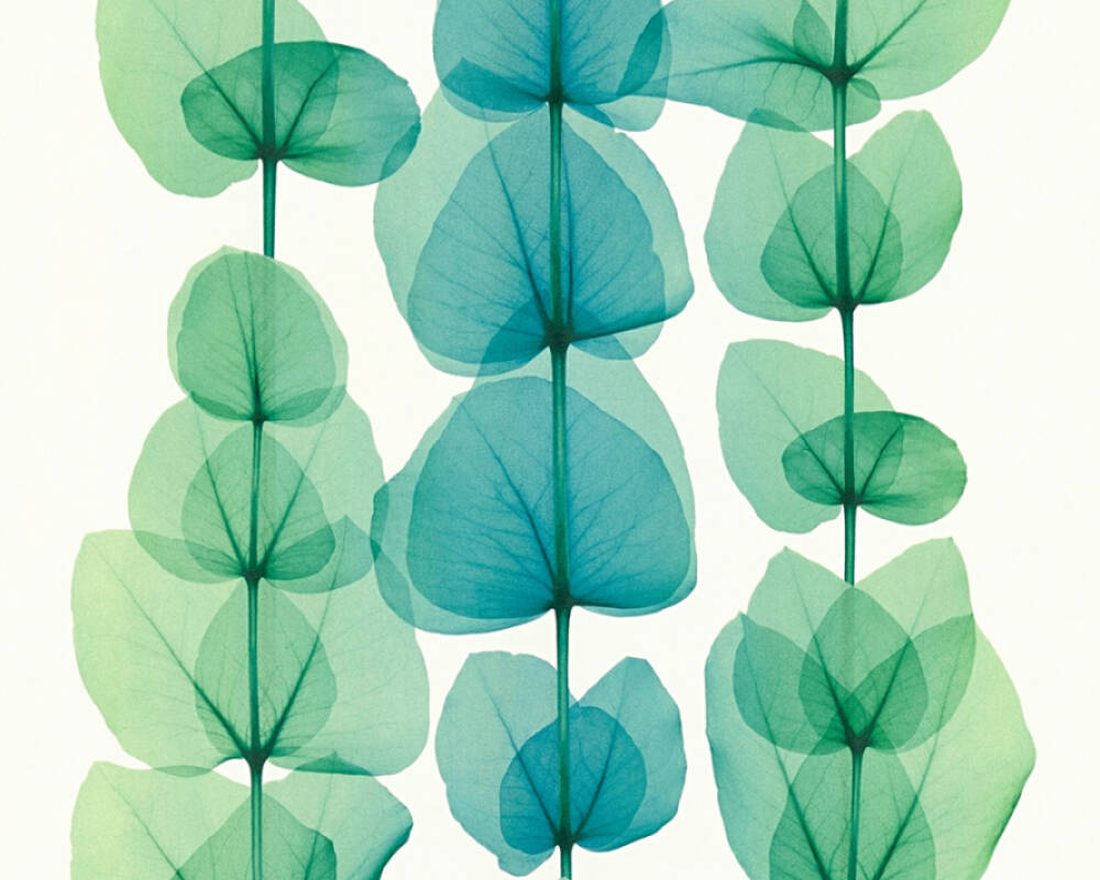 Création Wallpaper Flowers, Green, Metallic, Turquoise, - Tapeta Na Zed Tyrkysova , HD Wallpaper & Backgrounds
