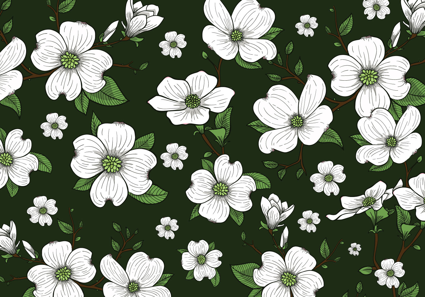 Dogwood Flowers Background Wallpaper Vector - Background Wallpaper Of Flowers , HD Wallpaper & Backgrounds