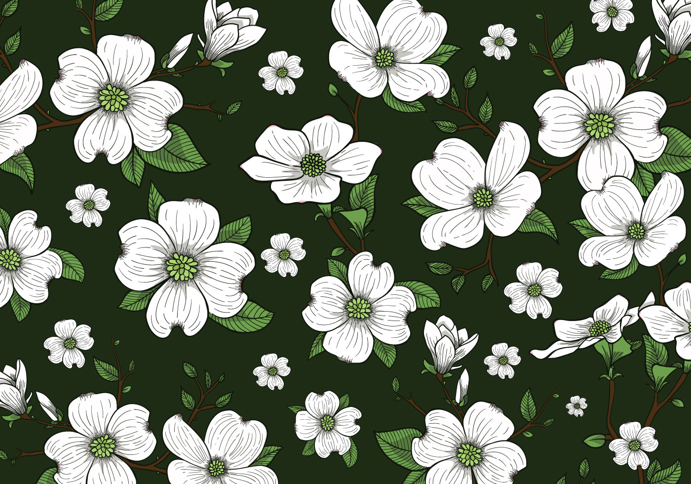 Dogwood Flowers Background Wallpaper Vector - Background Wallpaper Of