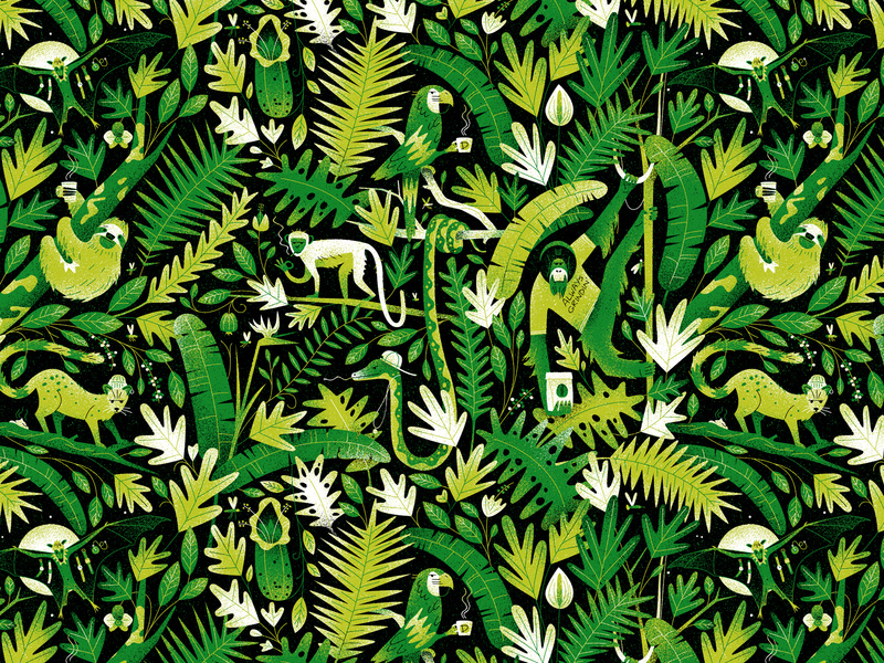 Jungle Massive - Iphone Xs Wallpaper Dribbble , HD Wallpaper & Backgrounds