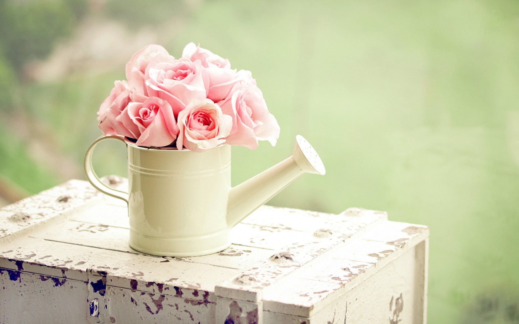 Hd Cute Flower Wallpapers Cute Flowers Wallpaper Hd - Water Can With Flowers , HD Wallpaper & Backgrounds