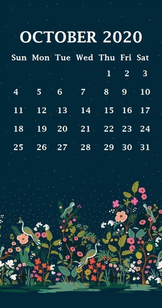 Iphone October 2020 Calendar Wallpaper - Pretty Calendar October 2020 , HD Wallpaper & Backgrounds