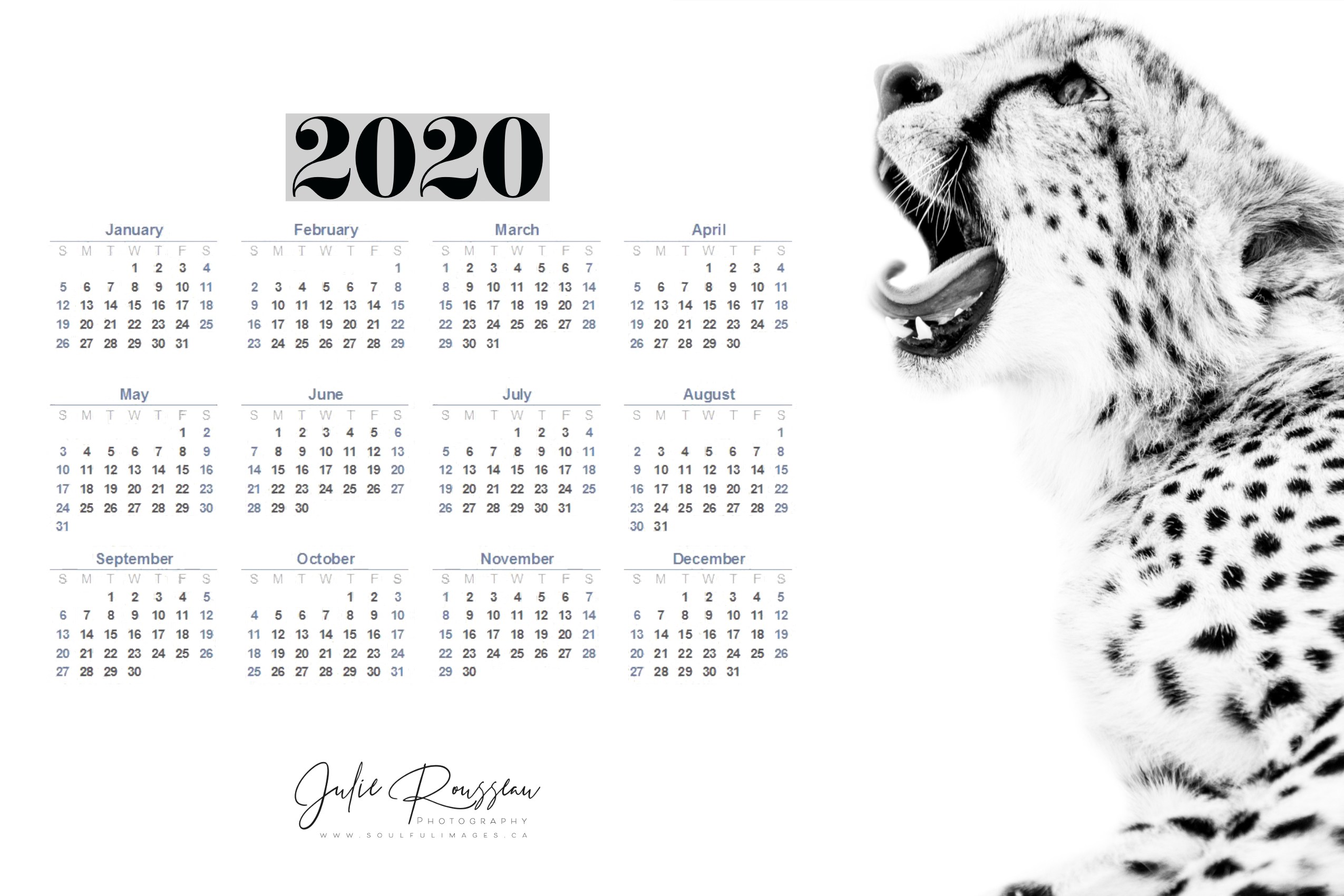 2020 Wallpaper Noah - Calendar , HD Wallpaper & Backgrounds