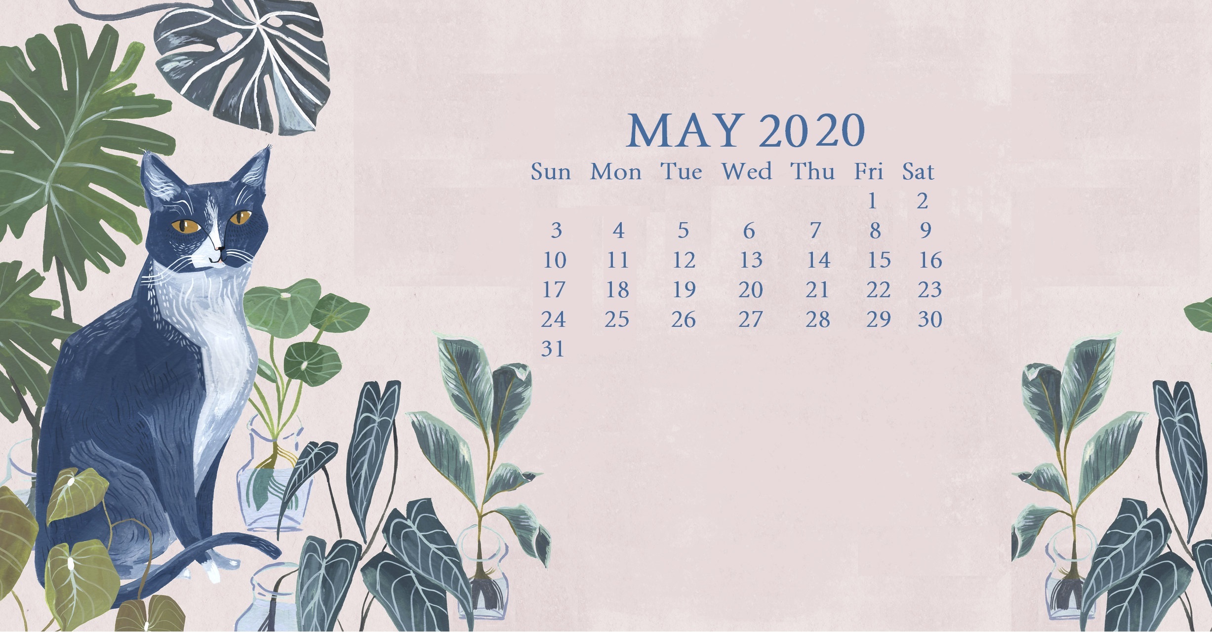 Cute 2020 Desktop Calendar Wallpaper - May Calendar Wallpaper 2020 , HD Wallpaper & Backgrounds