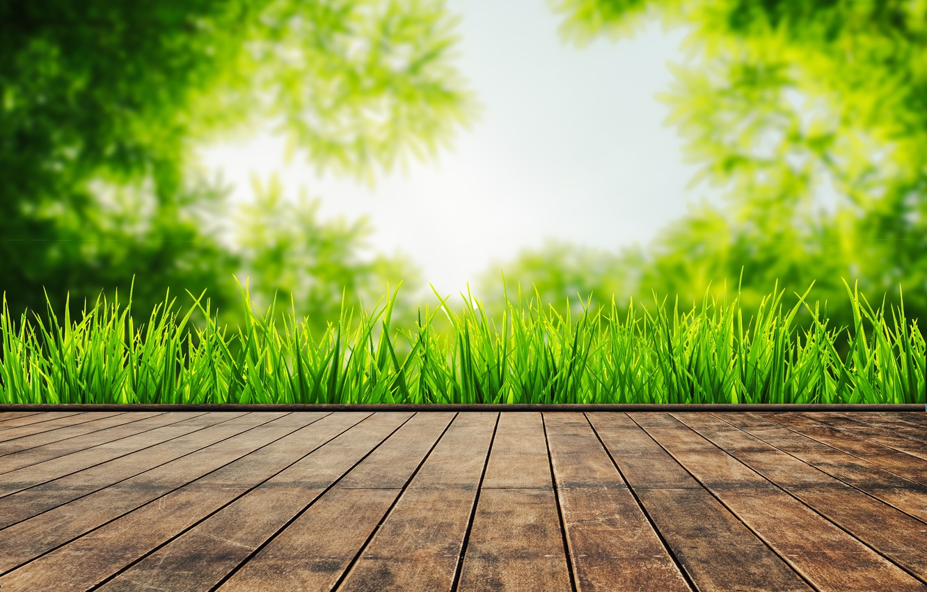 Photo Wallpaper Summer, Grass, Leaves, The Sun, Green, - Green Grass Sunshine , HD Wallpaper & Backgrounds