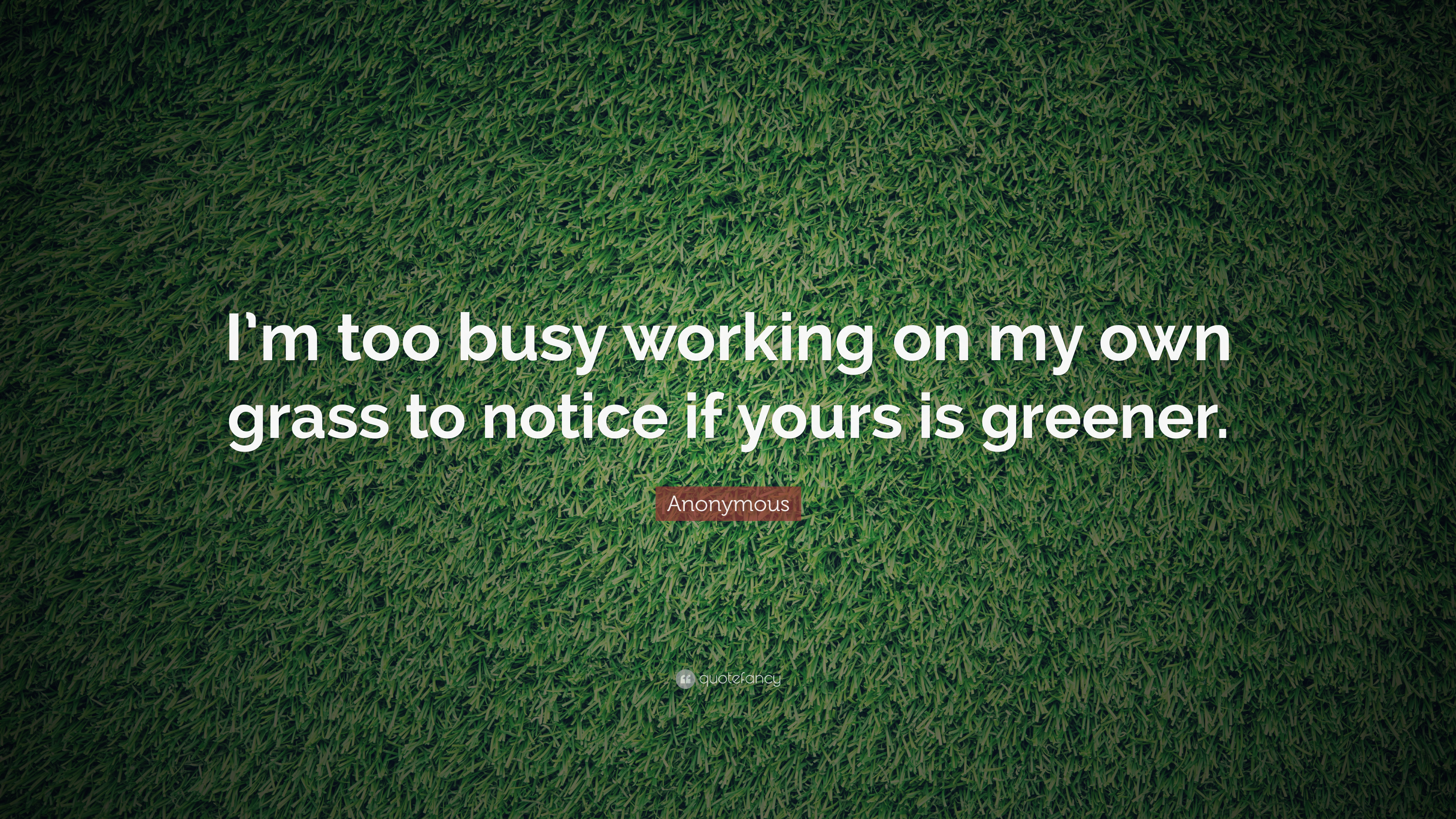 “i’m Too Busy Working On My Own Grass To Notice If - Lawn , HD Wallpaper & Backgrounds
