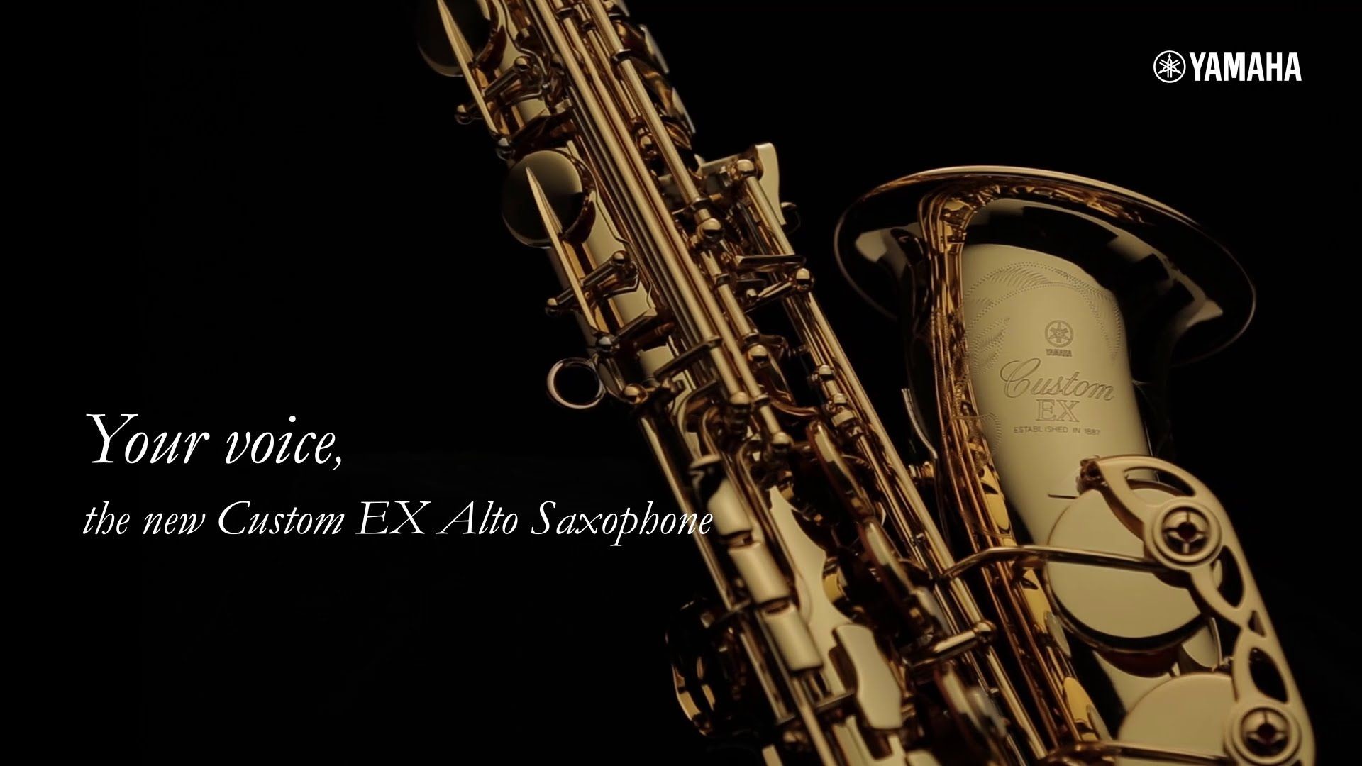 Бог саксофона. Yas-875ex Альт-саксофон. Yamaha 875 ex. Кастом саксофон. Саксофон обои.
