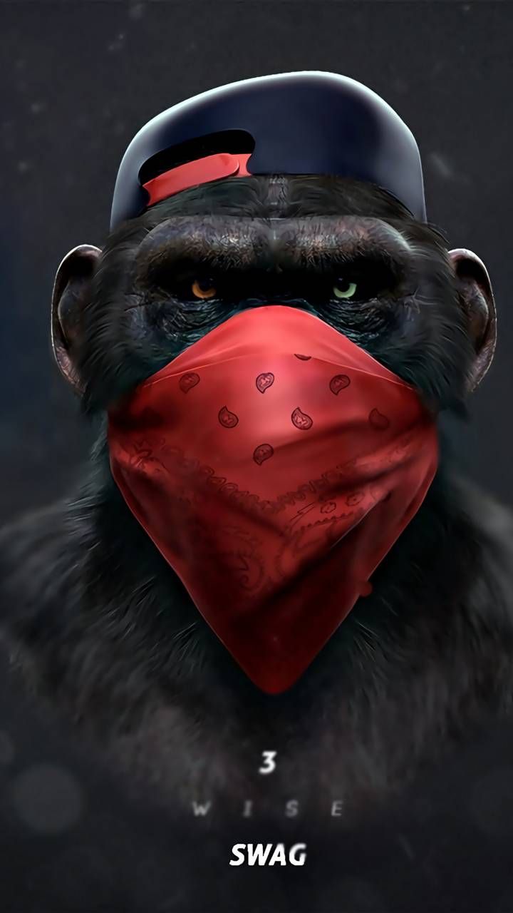 Monkey Swag Talk In 2019 - Monkey Swag , HD Wallpaper & Backgrounds