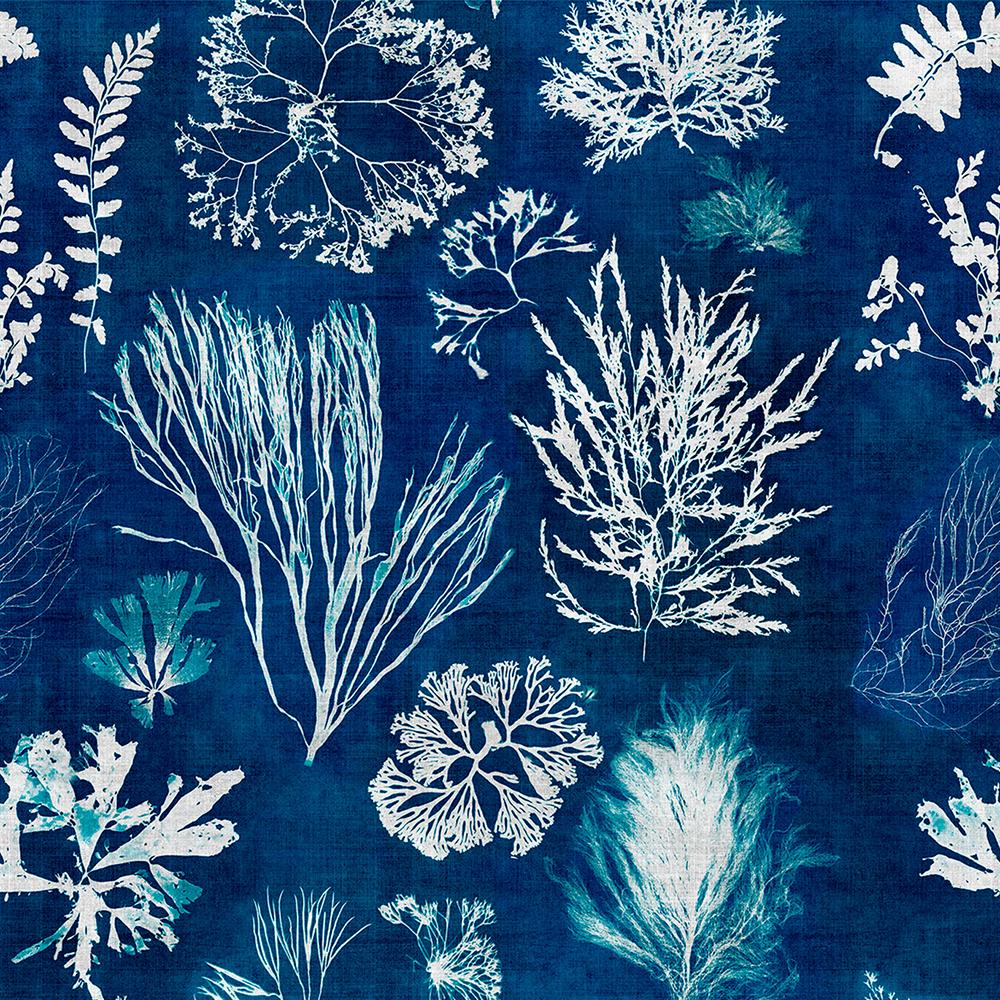 Algae Navy Blue Collectables Wallpaper - Mindthegap Algae Navy Blue , HD Wallpaper & Backgrounds