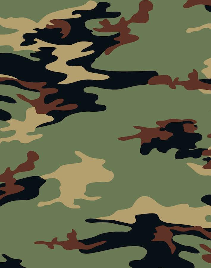 Wallshoppe 
 
 Src //cdn - Us Army Green Camouflage , HD Wallpaper & Backgrounds