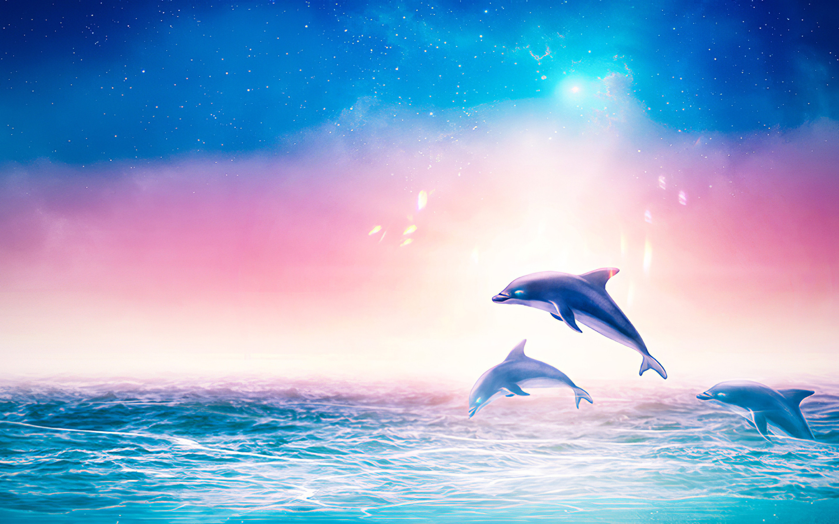 Dolphin Wallpaper For Laptop , HD Wallpaper & Backgrounds