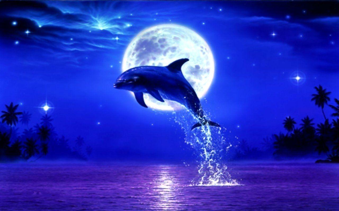 Free Dolphin Wallpapers For Desktop - Cute Wallpaper Dolphins , HD Wallpaper & Backgrounds
