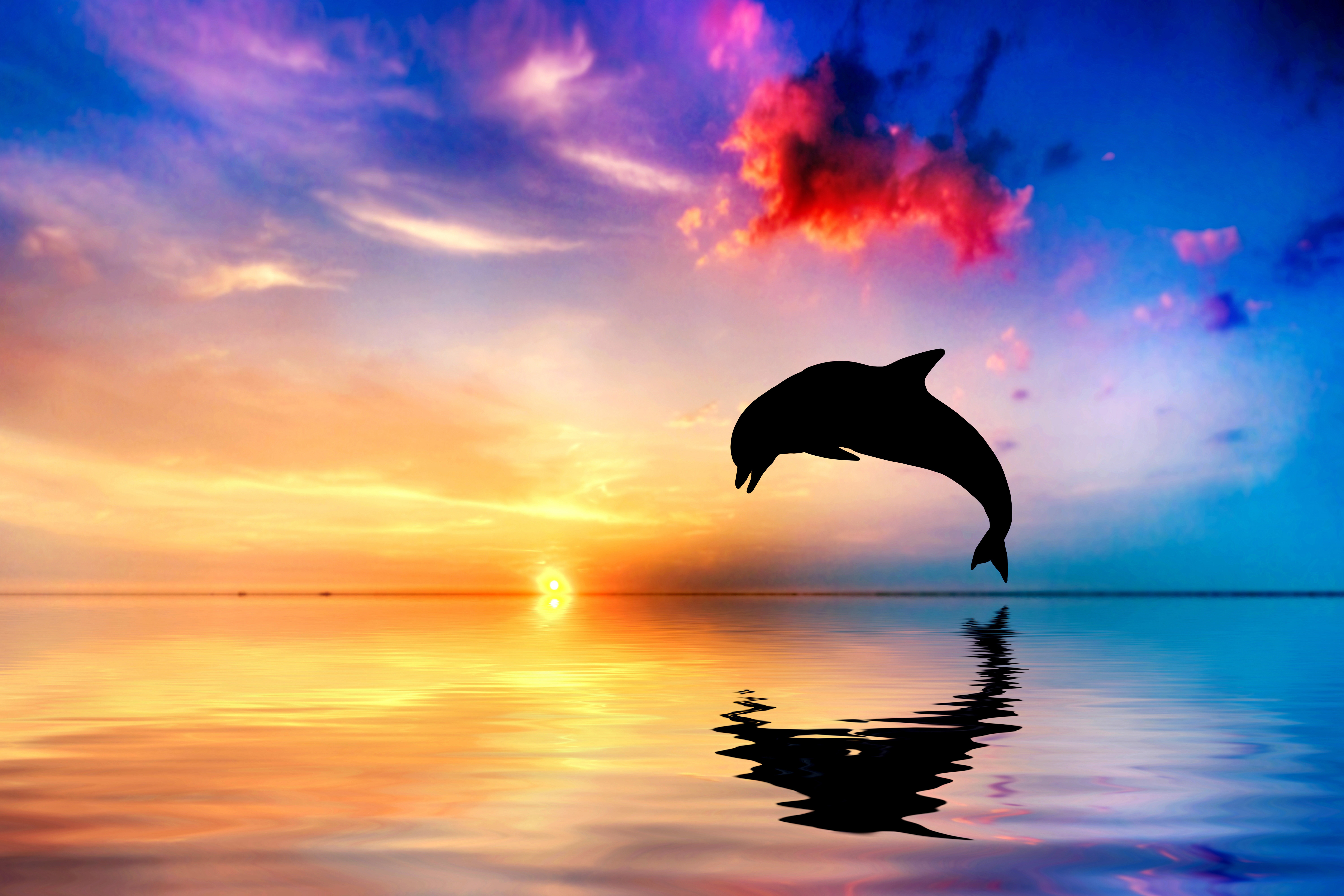 Dolphin Wallpaper - Dolphin Wallpaper - Dolphin Jumping Out Of Water At Sunset , HD Wallpaper & Backgrounds