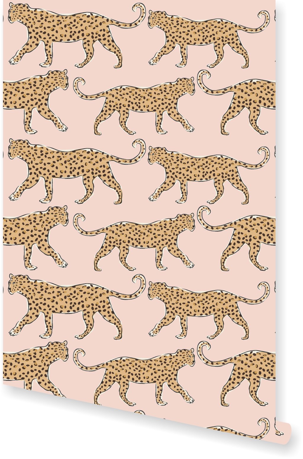 Leopard Blush , HD Wallpaper & Backgrounds