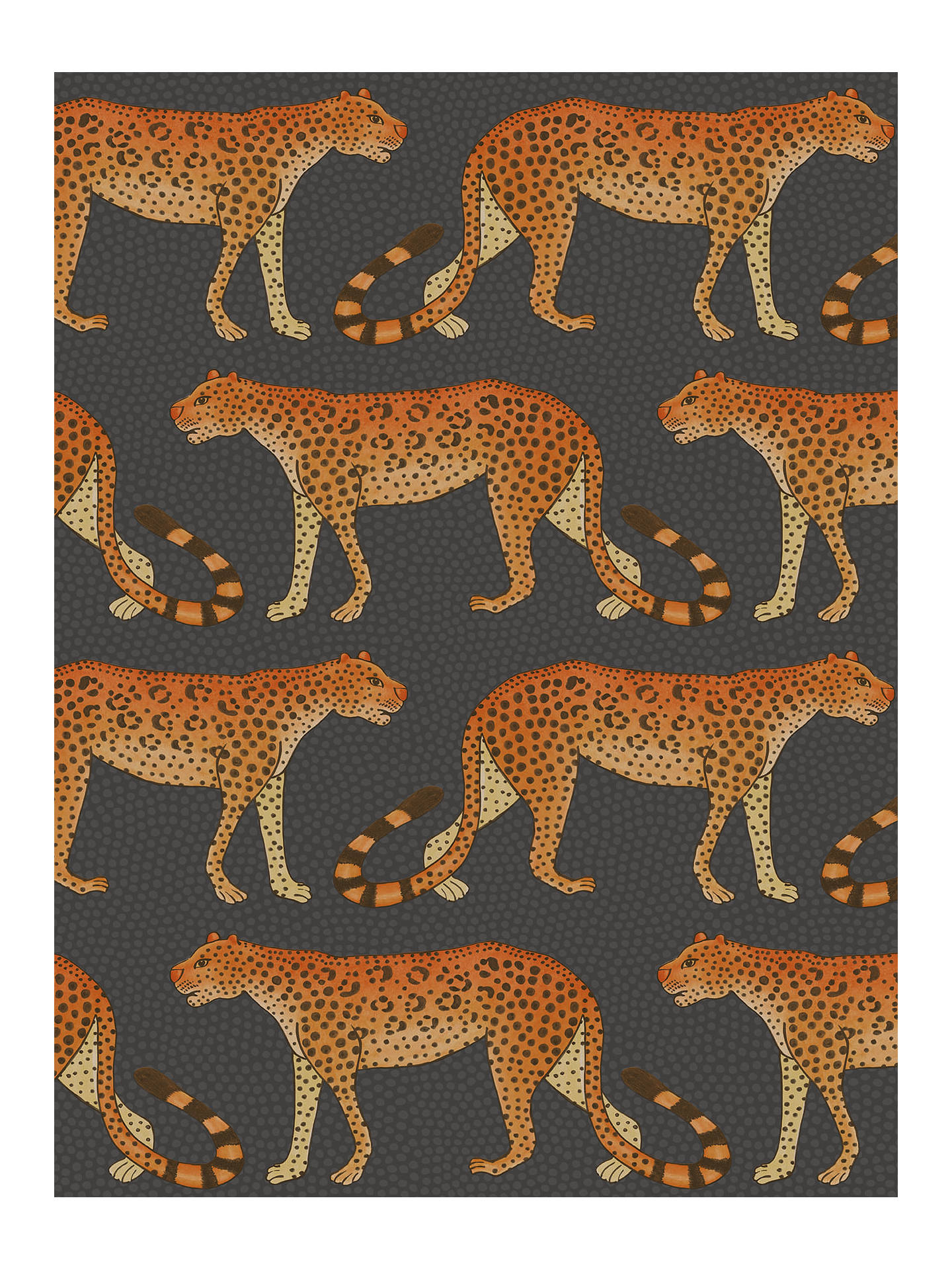 Buy Cole & Son Leopard Walk Wallpaper, 109/2008 Online - مطعم بيلو , HD Wallpaper & Backgrounds