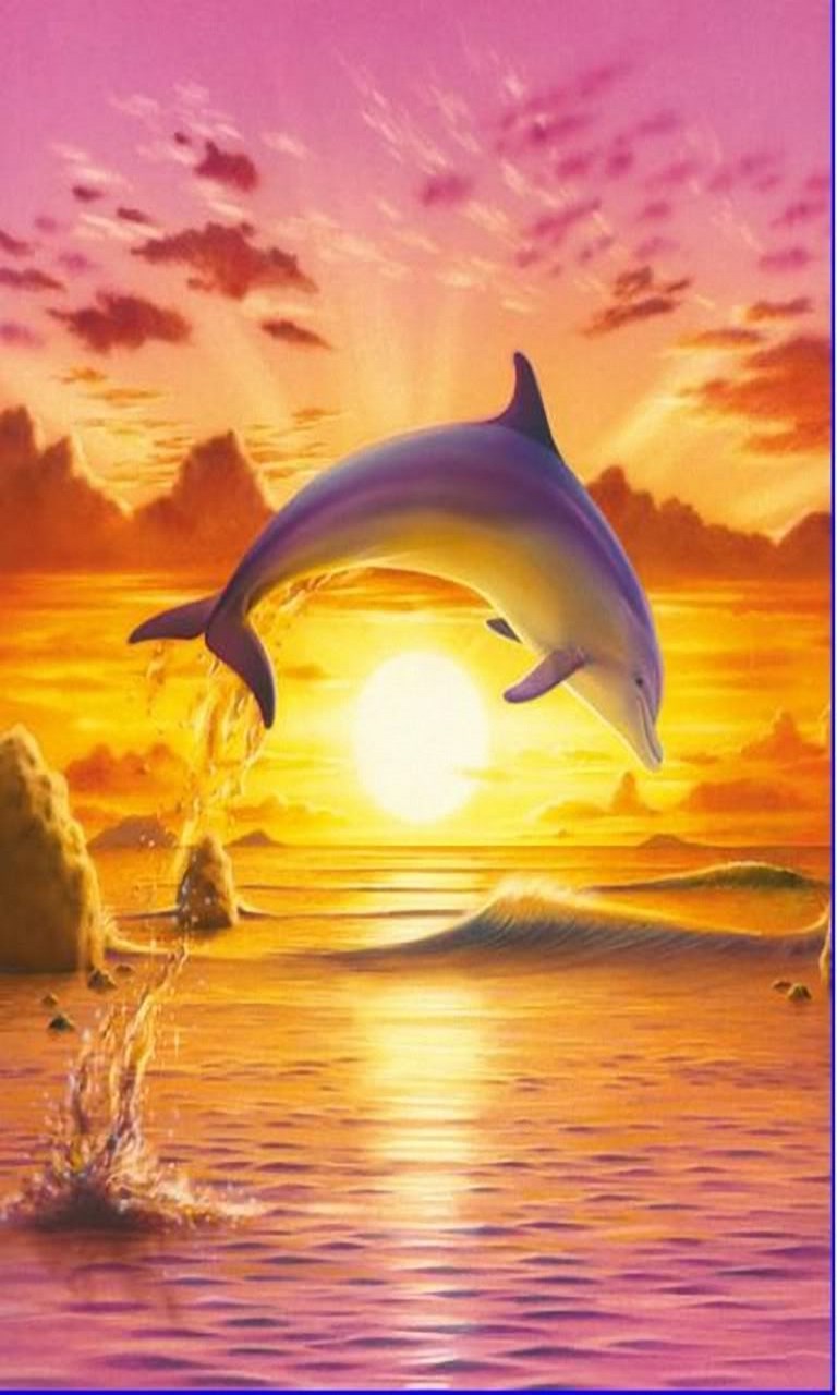 Dolphin Wallpaper 3d For Windows 10 Mobile - Dolphins In The Sunlight , HD Wallpaper & Backgrounds