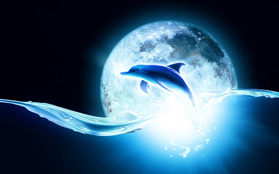 Песни луна дельфины. Дельфин. Дельфины фэнтези. Космические дельфины. Дельфины в космосе.