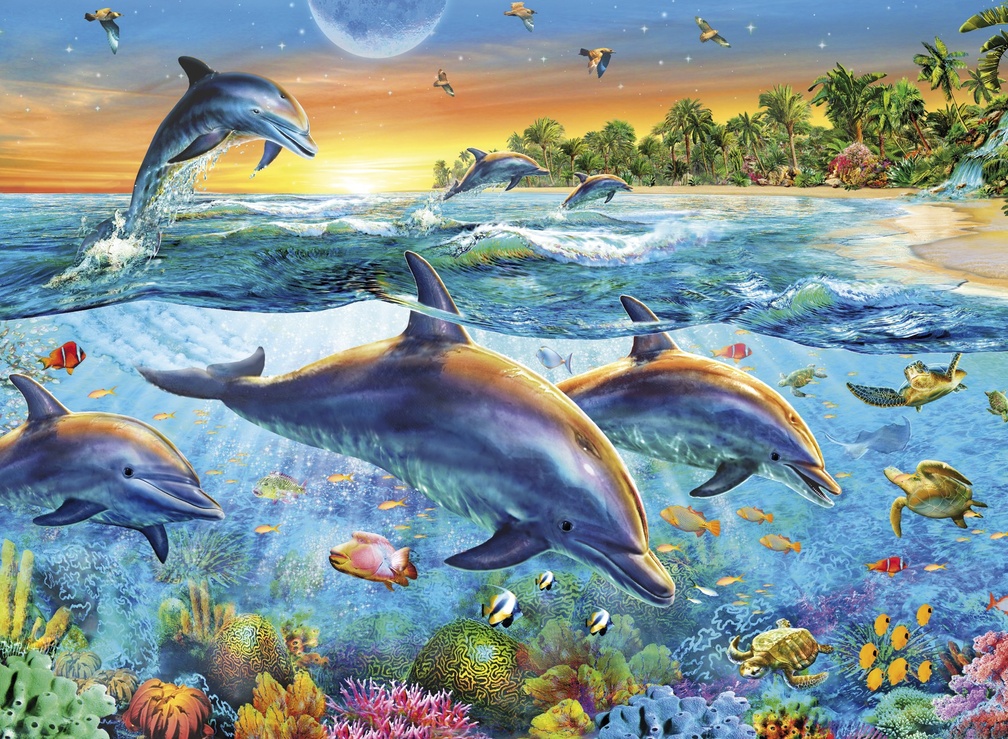 Clementoni 500 Pieces Puzzle Dolphin , HD Wallpaper & Backgrounds