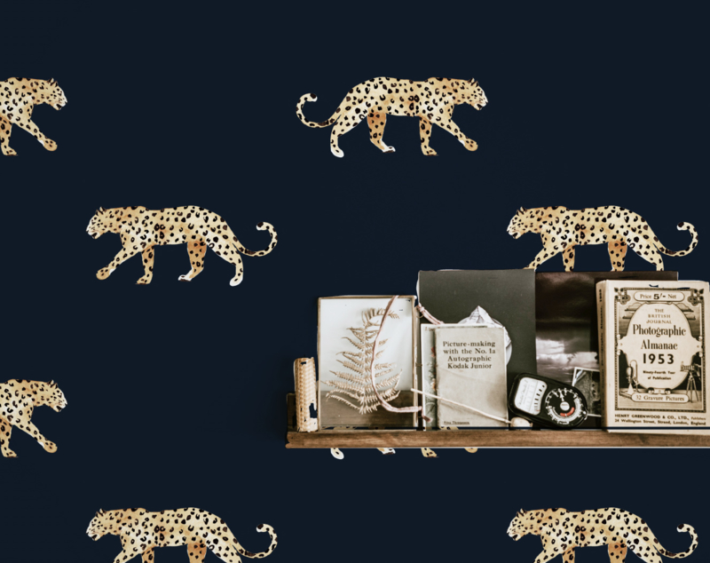 Jaguar , HD Wallpaper & Backgrounds