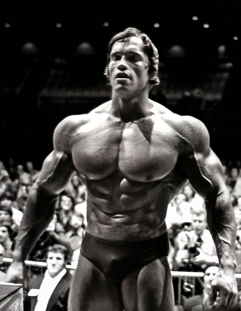 Arnold Schwarzenegger Wallpaper Hd Gallery 
 Data-src - Arnold Schwarzenegger , HD Wallpaper & Backgrounds