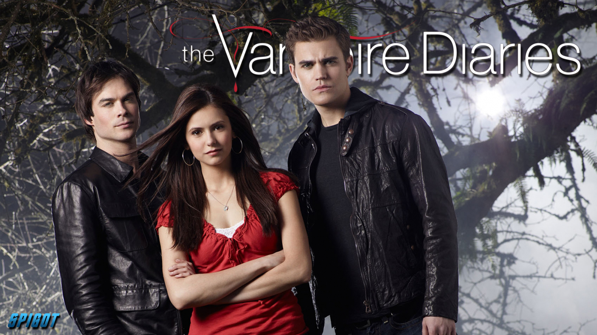 Vampire Diaries Web Series , HD Wallpaper & Backgrounds