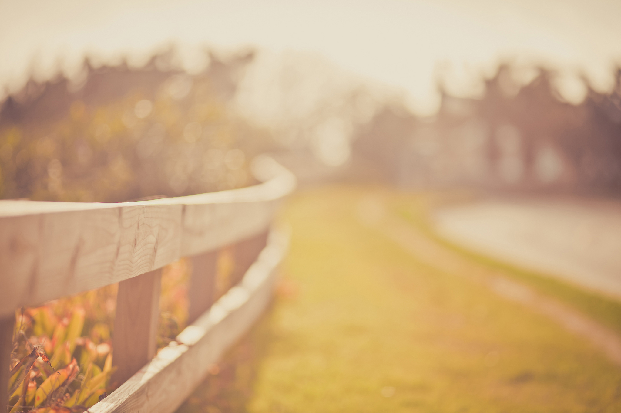 Out Of Focus Wallpaper - Fence Background , HD Wallpaper & Backgrounds