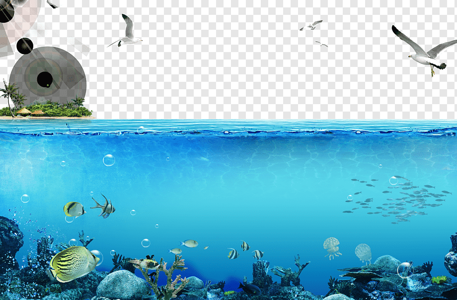 Body Of Water Illustration, Underwater World, Singapore - 500 Rai Floating Resort , HD Wallpaper & Backgrounds