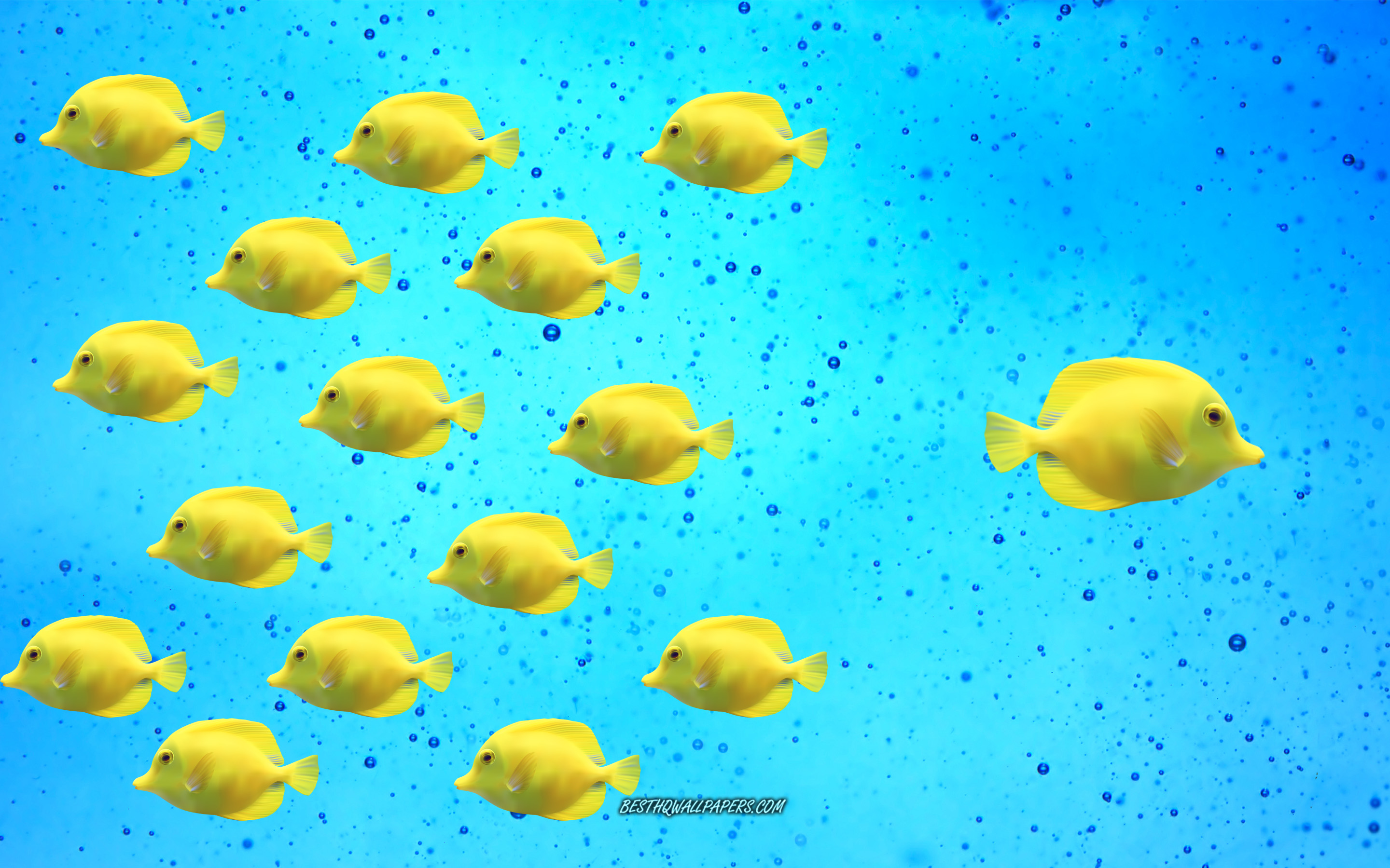 Be Different, Aquarium, Yellow Fish, Creative Art, - Coral Reef Fish , HD Wallpaper & Backgrounds