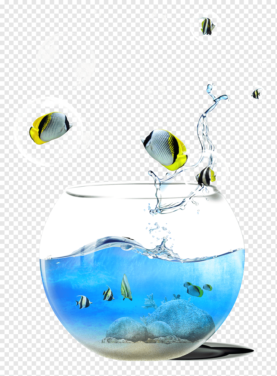 Fish Tank Background Material, Glass, Aquarium, Computer - Aquario Png , HD Wallpaper & Backgrounds