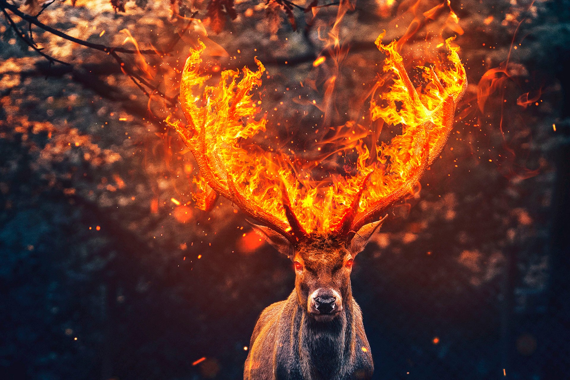 Download Deer Wallpaper - Deer Fire On Itl.cat