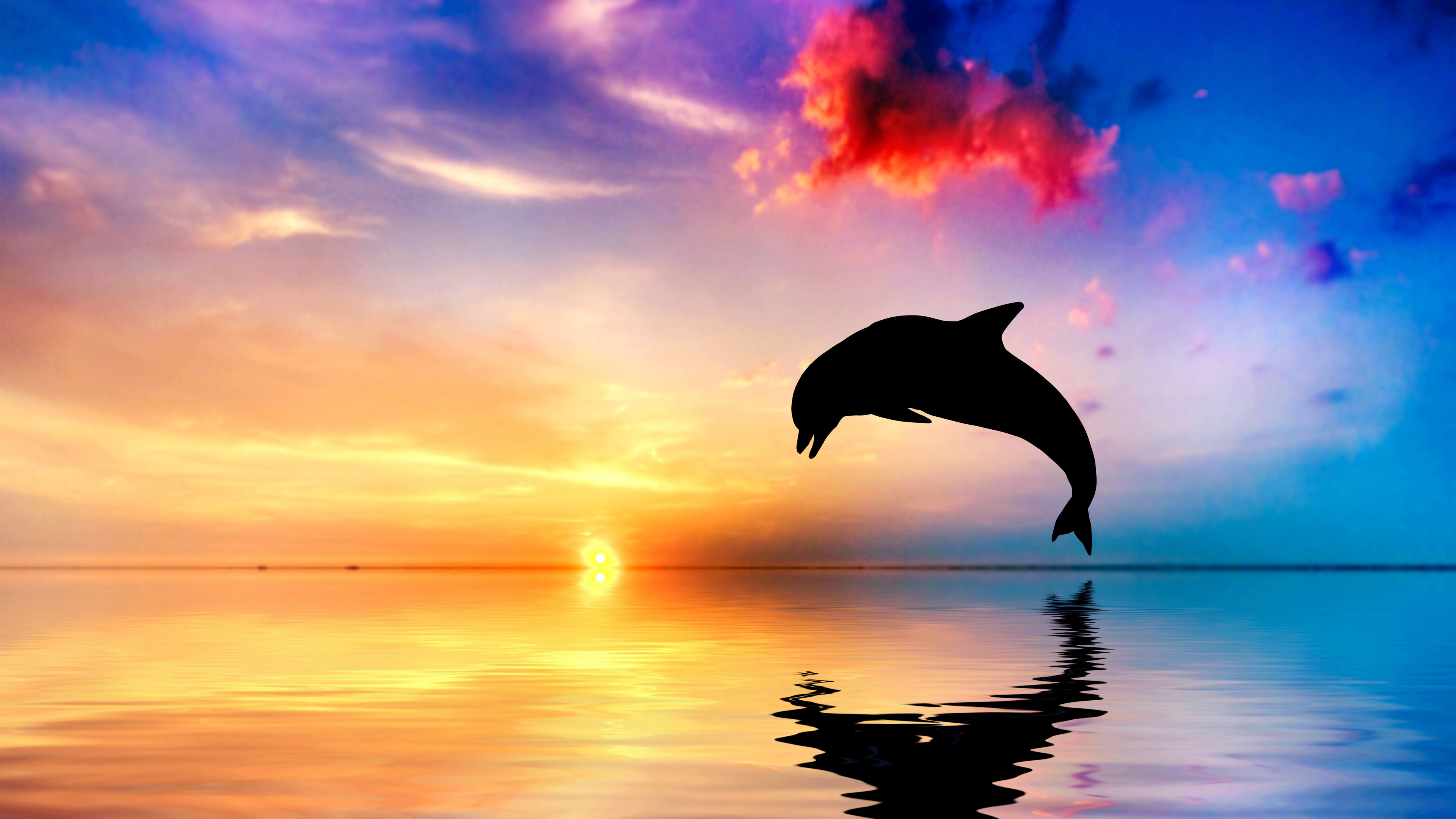 Dolphin Jumping Out Of Water Sunset View 4k - Beautiful Ocean And Sunset With Dolphin Jumping , HD Wallpaper & Backgrounds