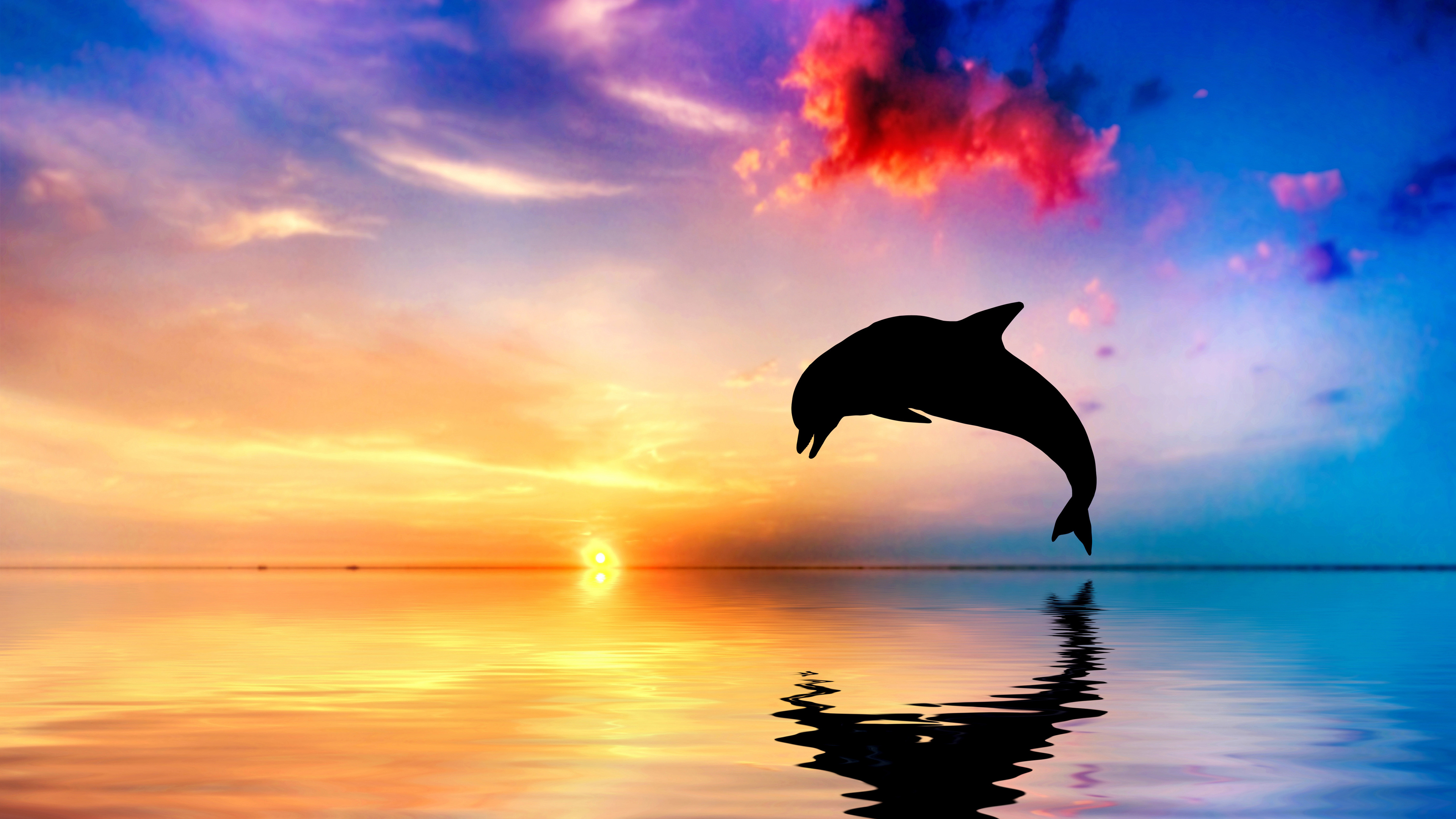 Download Dolphin Jumping Out Of Water Sunset View 4k - Beautiful Ocean