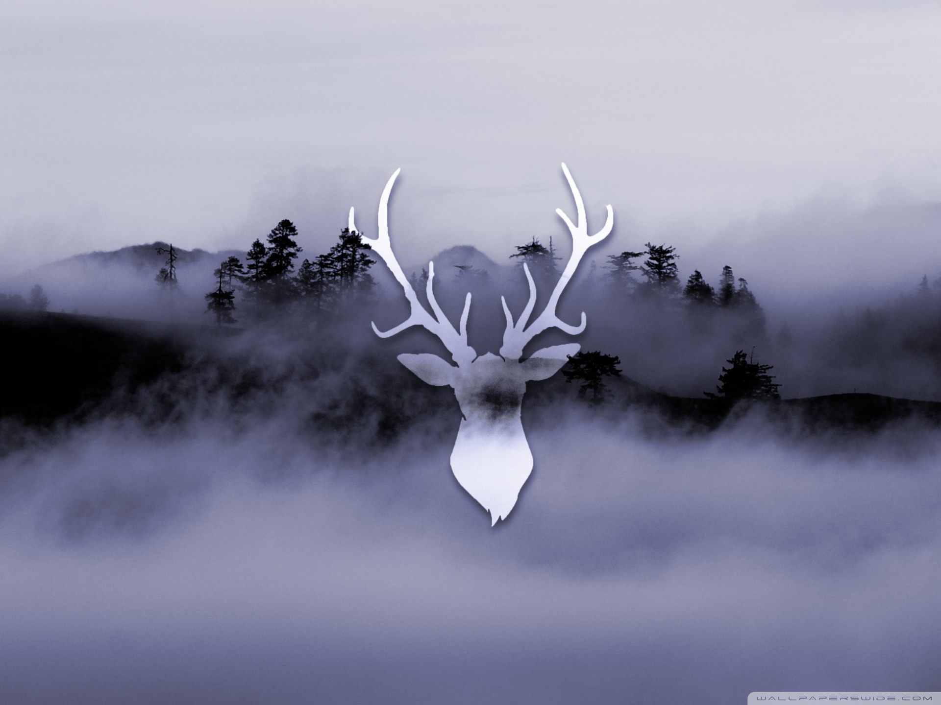 Deer Wallpaper Hd Iphone , HD Wallpaper & Backgrounds