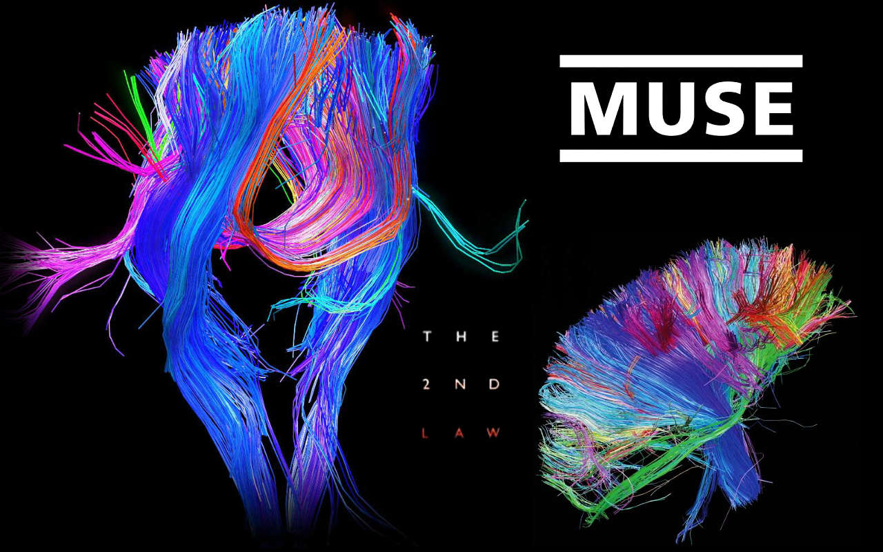 The 2nd Law - Muse The 2nd Law Poster , HD Wallpaper & Backgrounds