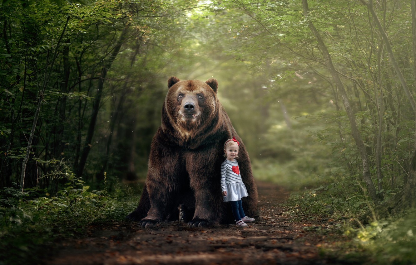 Photo Wallpaper Forest, Bear, Girl, Friends, Masha - Фото Медведь С Девочкой , HD Wallpaper & Backgrounds