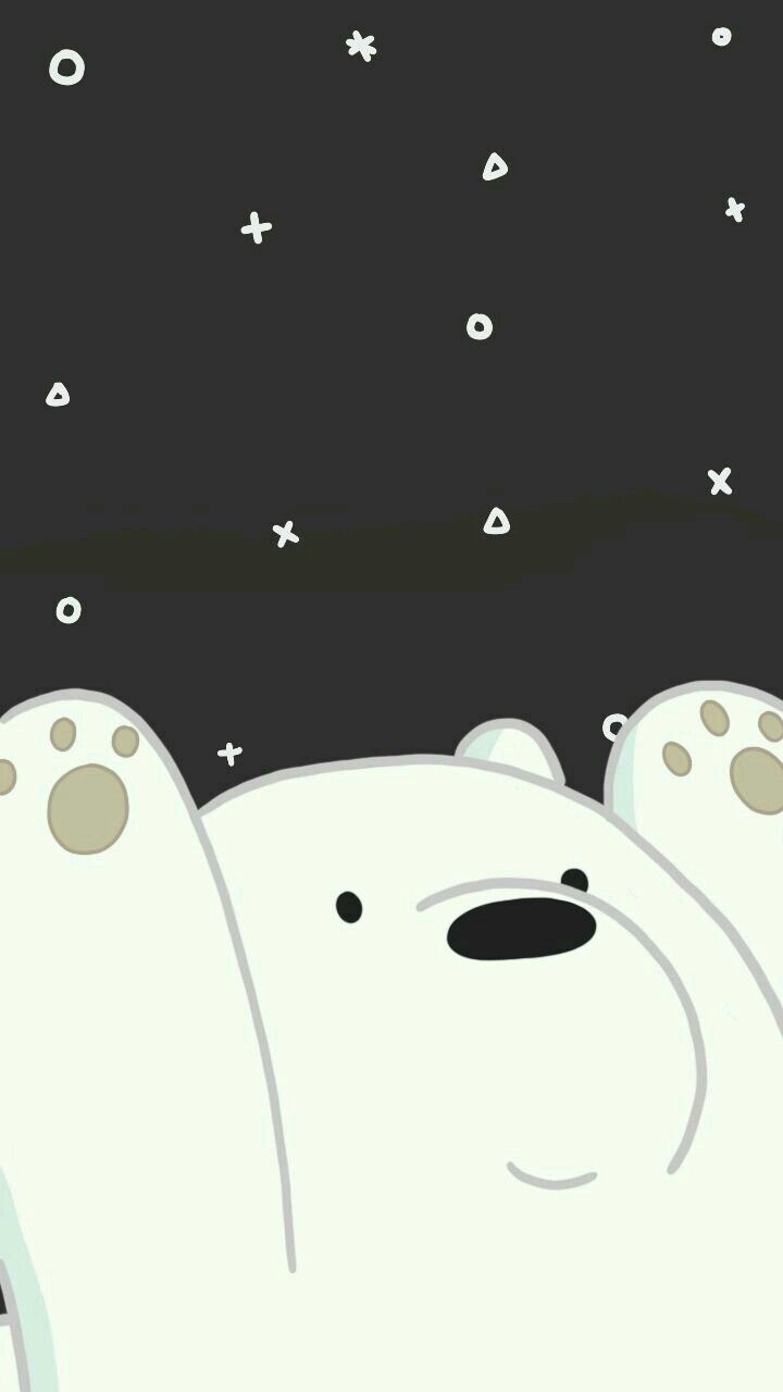 We Bare Bears Wallpaper - We Bare Bears Wallpaper Polar , HD Wallpaper & Backgrounds