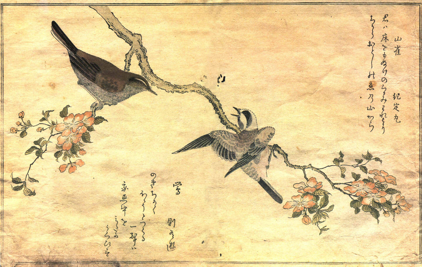 Artistic Oriental Wallpaper - Ukiyo E Birds , HD Wallpaper & Backgrounds