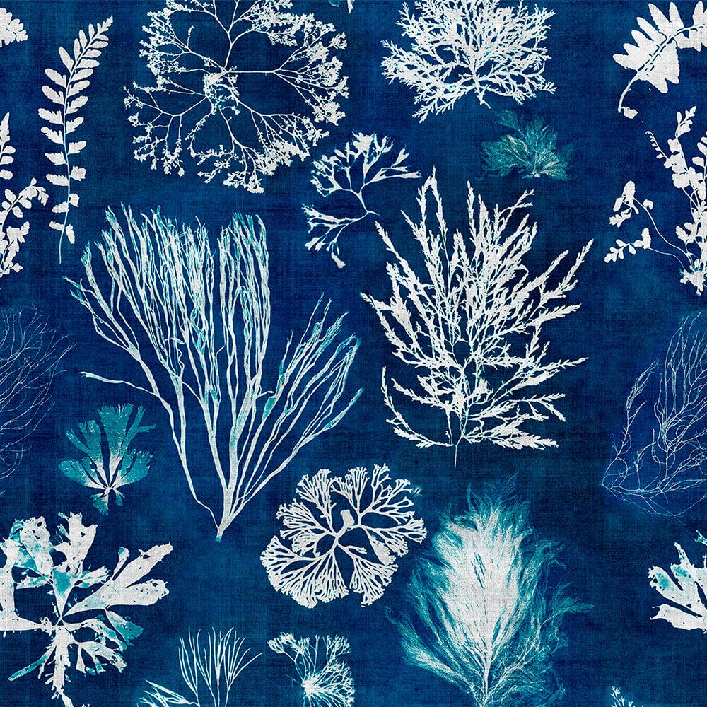Algae Navy Blue Wallpaper, Mind The Gap, Mind The Gap - Navy Blue Wall Papers , HD Wallpaper & Backgrounds