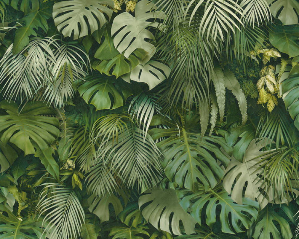 Création Wallpaper Jungle, Green - Green Jungle , HD Wallpaper & Backgrounds