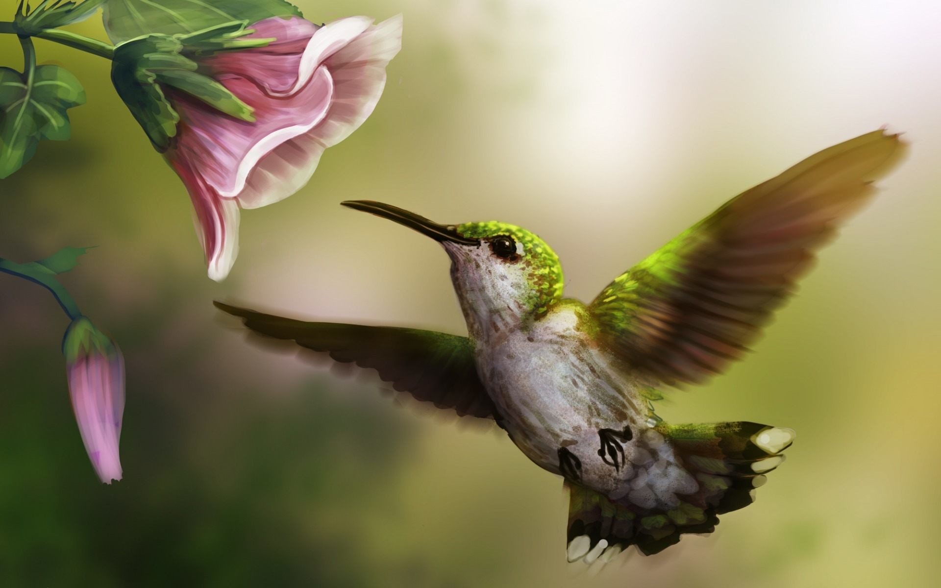 Free Hummingbird Wallpapers Wallpapers Zone Desktop - Hummingbird Background , HD Wallpaper & Backgrounds