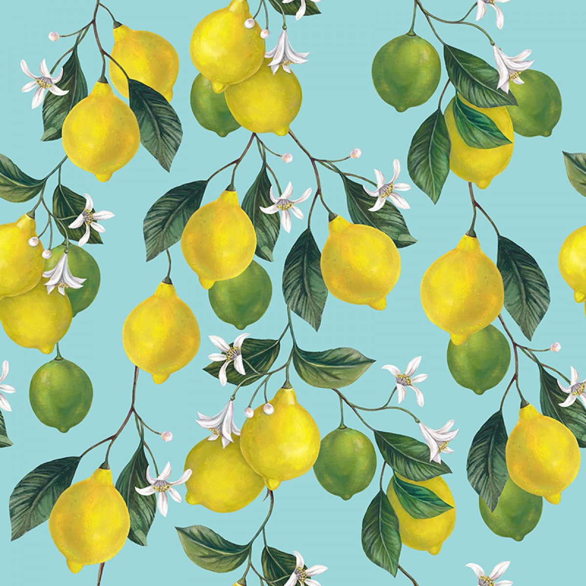 Green Lemon Wallpaper - Lemon , HD Wallpaper & Backgrounds