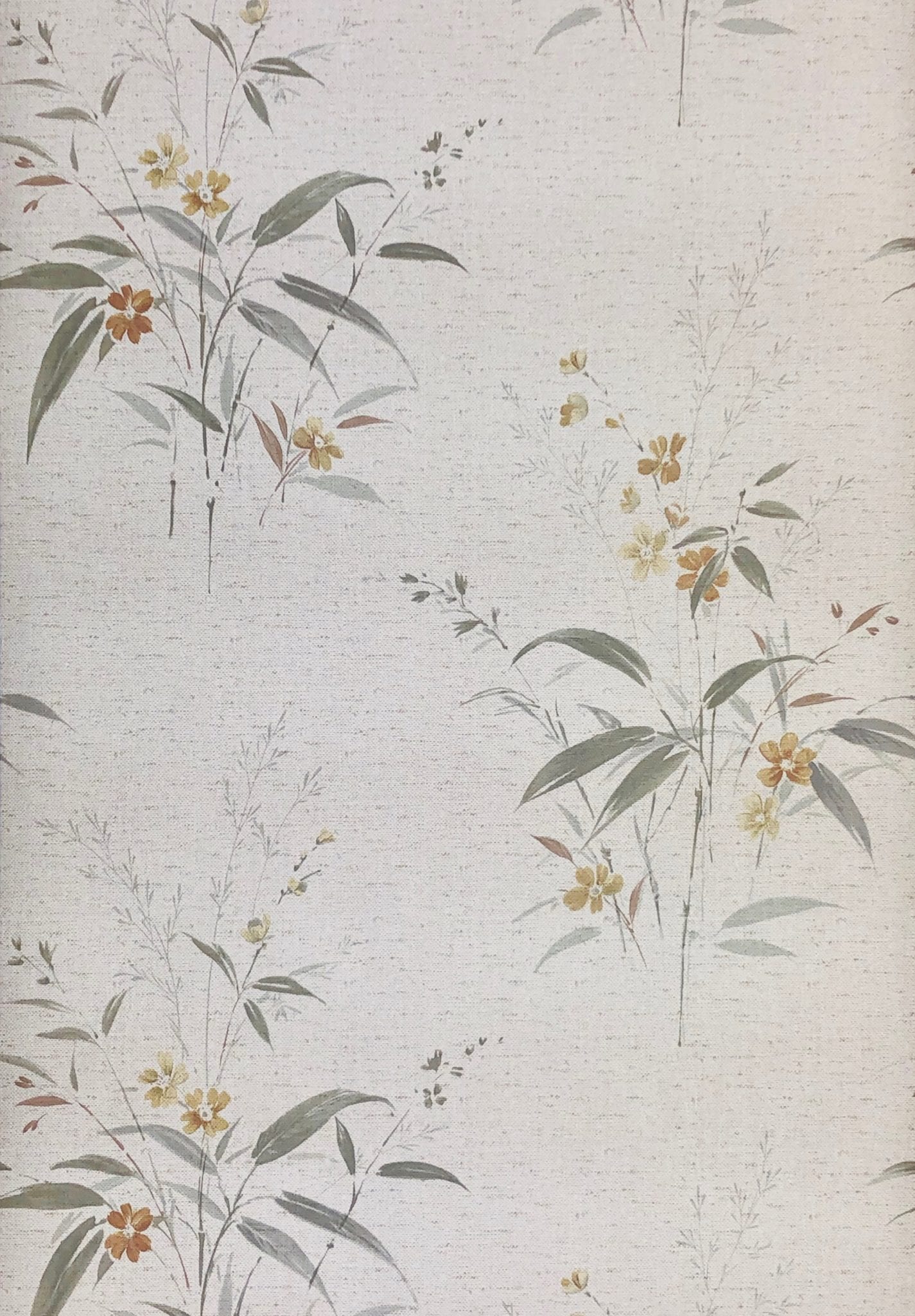 Vintage Botanical Wallpaper - Russian Olive , HD Wallpaper & Backgrounds