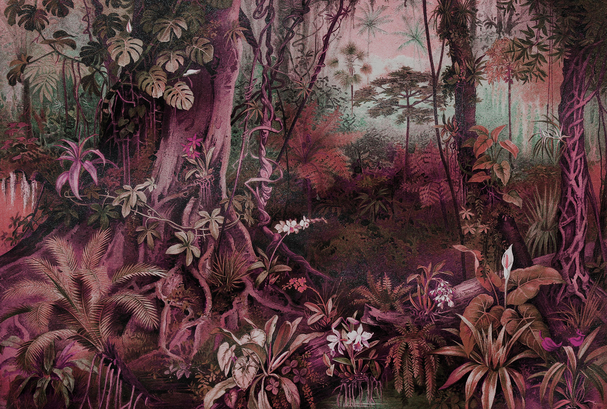 Walls By Patel  - Vintage Jungle , HD Wallpaper & Backgrounds