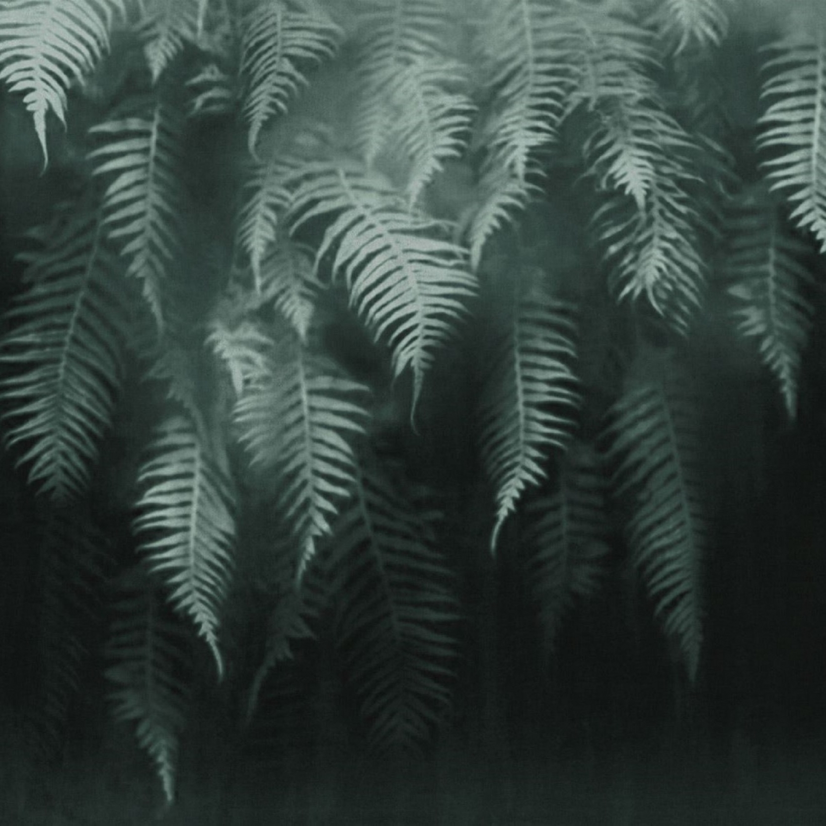 Londonart The Breath Of Ferns Wallpaper - Ferns , HD Wallpaper & Backgrounds