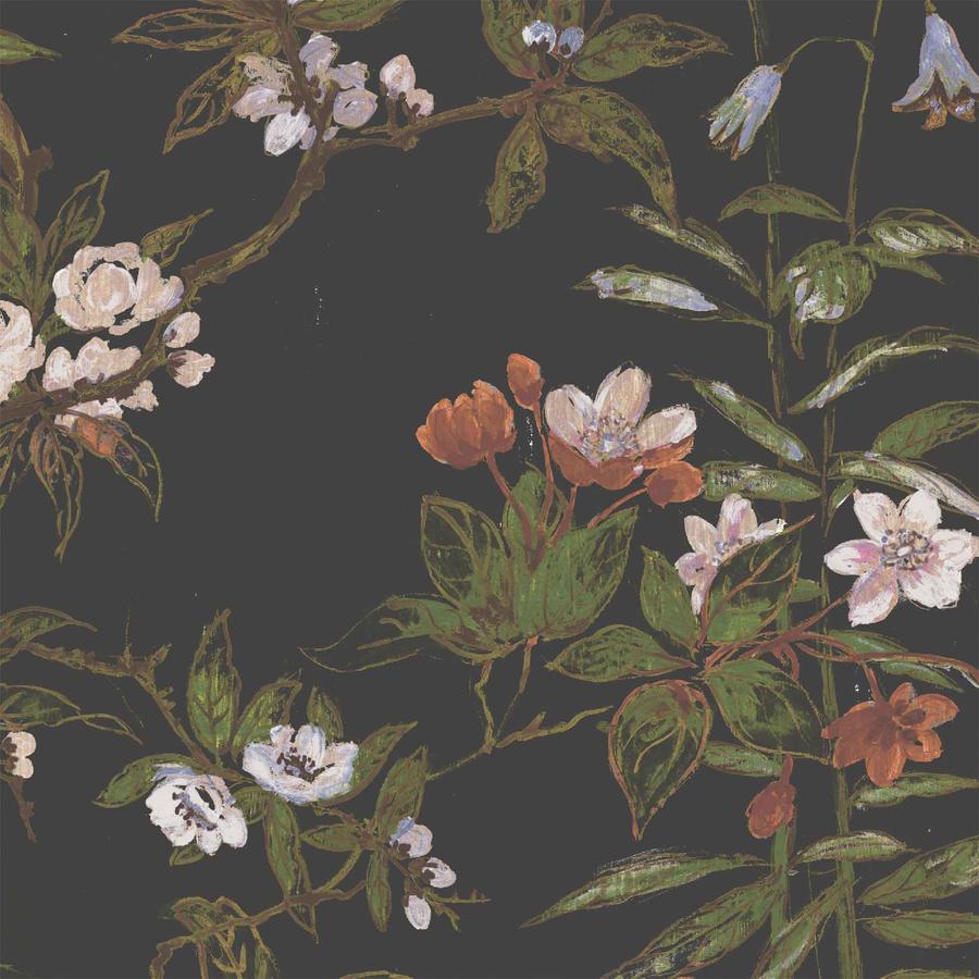 Black Botanical , HD Wallpaper & Backgrounds