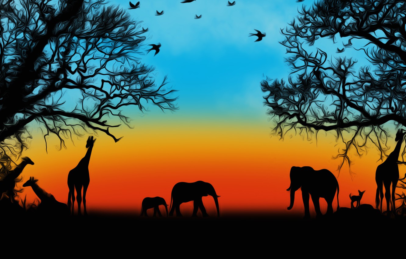 Photo Wallpaper Animals, Picture, Safari - Сафари На Рабочий Стол , HD Wallpaper & Backgrounds