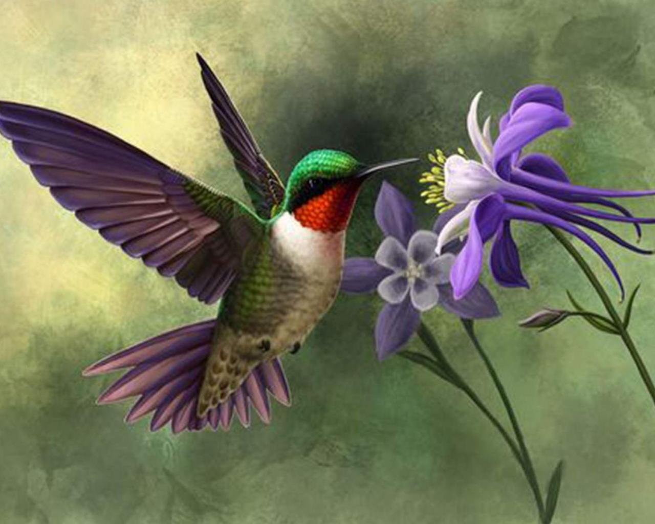 Gorgeous Blue Hummingbird - Hummingbird , HD Wallpaper & Backgrounds