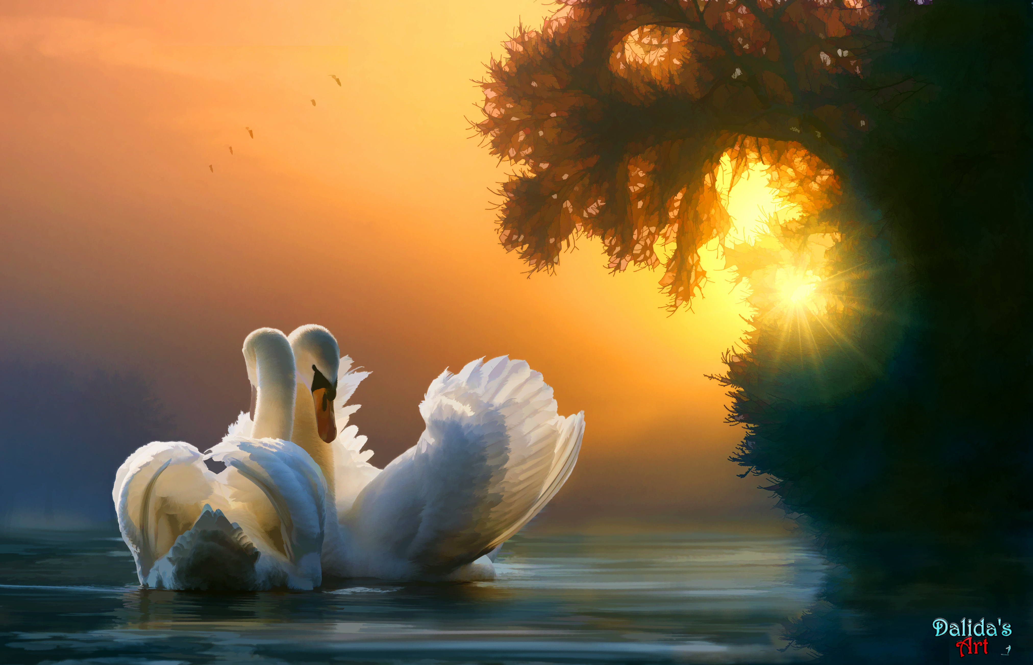 Swan Couple Iphone , HD Wallpaper & Backgrounds